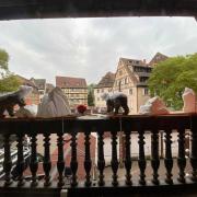 La place de l'ancienne douane vue depuis l'intérieur du Koifhus