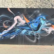 Un oiseau de toutes les couleurs...