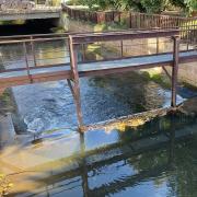 Autre lieu de pêche toujours sur les bords de la rivière Lauch