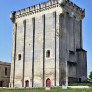 Le donjon palais roman du XII°siecle vu depuis le nord-est