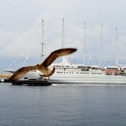 Le soir tombe sur le port Hercule