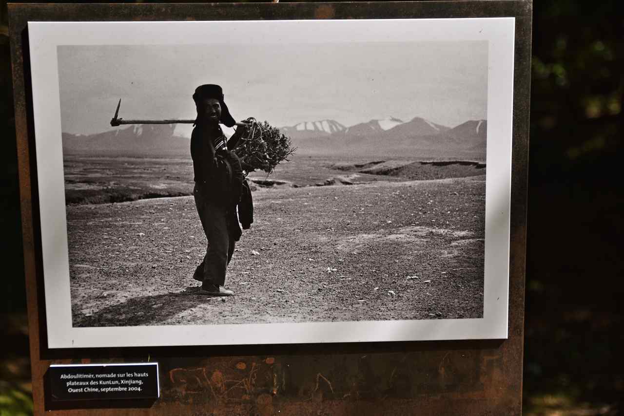 Abdoulitimer, nomade sur les hauts plateaux des Kunlun-Xinjiang. Inde