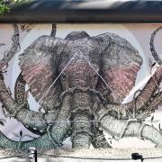 Alexis Dias 2014-Puerto Rico