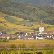 Ammerschwihr, sur le chemin de Compostelle et la route des Vins d'Alsace