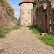 Ancienne tour et les remparts de la Cité