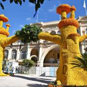 Arche aux deux arbres- Ville de Roquebrune Cap Martin