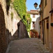 Au bout de cette ruelle vécut l'écrivain Romain GARY