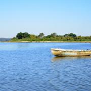 Au fond la réserve naturalle des prés salés.
