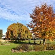 Parc St François-Xavier  et ...