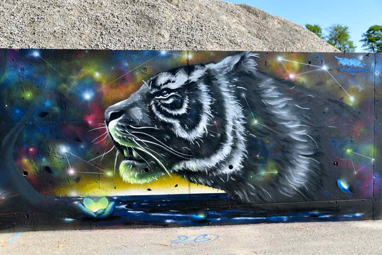 Le tigre dans la galaxie