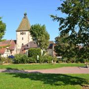 Bergheim vu depuis le tilleul millénaire