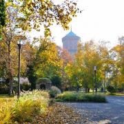...c'est l'automne, les couleurs chtoyantes illuminent le parc