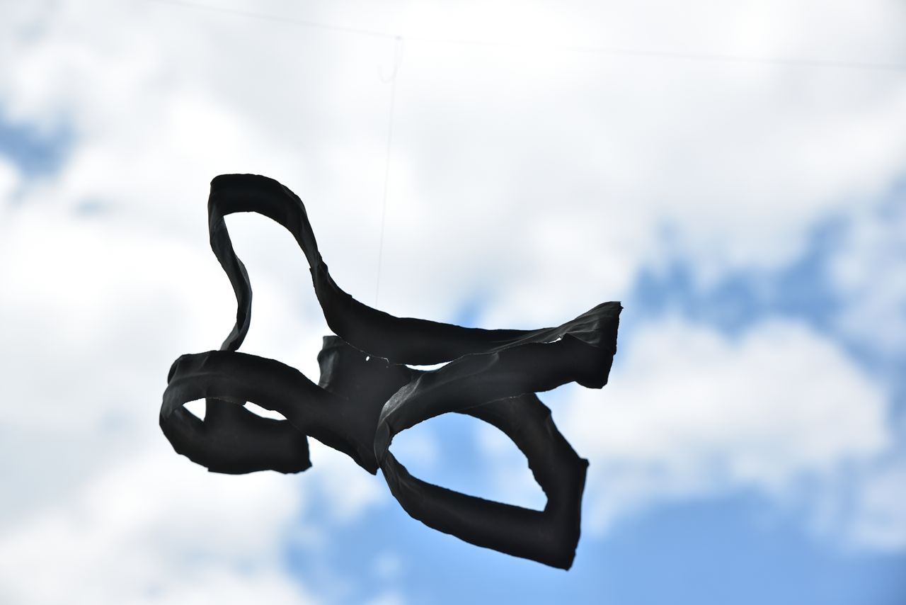 ... celle-ci s'est envolée. Bon voyage