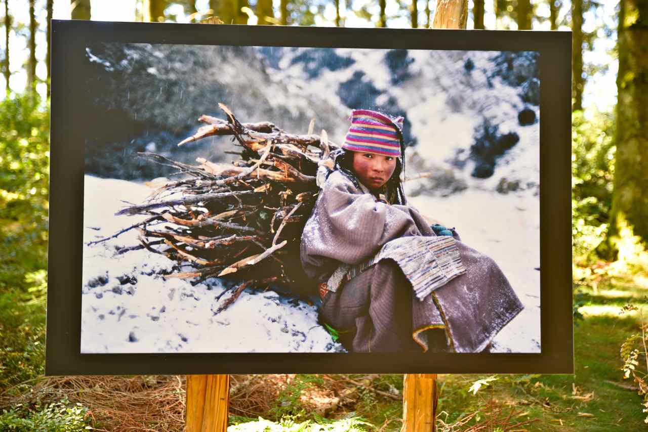 Chunchup Droma (14 ans) rentre chez elle à 4100 m d'altitude. Province du Kham