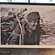 Corvée de bois pour les nonnes de Tungri. Tashi Angmo-Zanskar-Inde