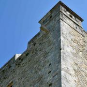 ...d'une plateforme, toisième étage  de tir, pour 9 canons