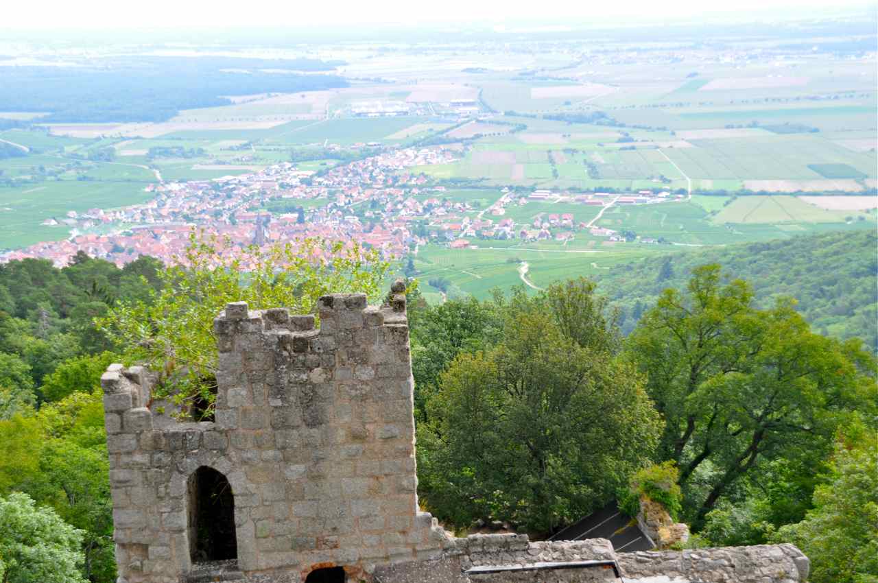 Dambach la Ville et la plaine d'Alsace  vues depuis le donjon du  château du Bernstein....