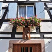 .. décorent les maisons