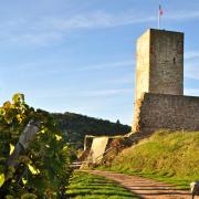 Bâti vers la fin du XII° siècle il n'était constitué que du donjon