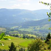 Vallée de Munster vue depuis la ferme auberge du Musmiss