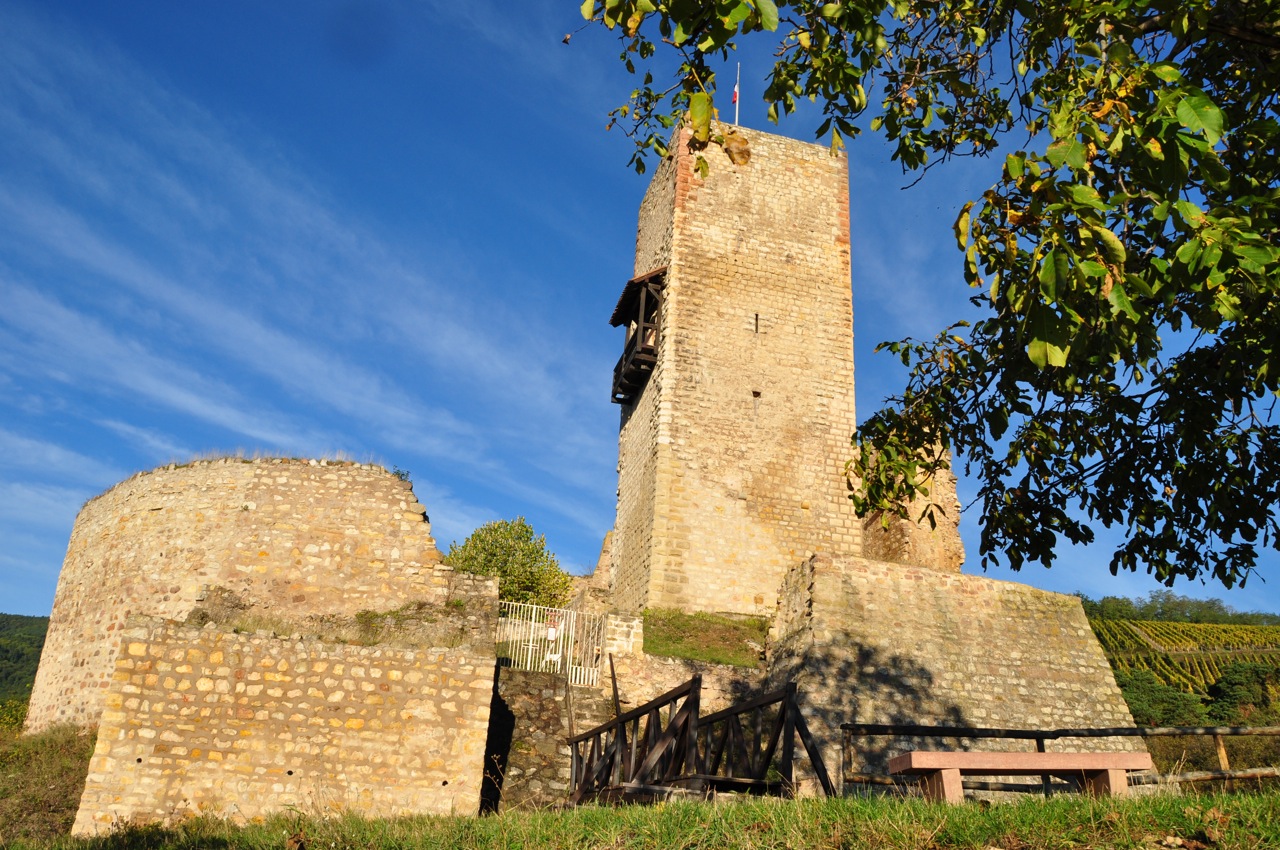 Katzenthal, château du Wineck du XII° siècle