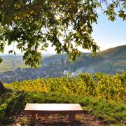 Katzenthal et à droite le Sonnenberg vus depuis le château