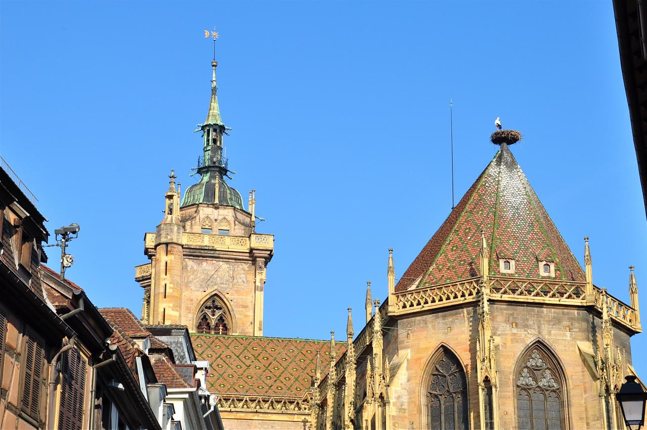 Nid de cigognes sur la collégiale (Cathédrale) St Martin de Colmar