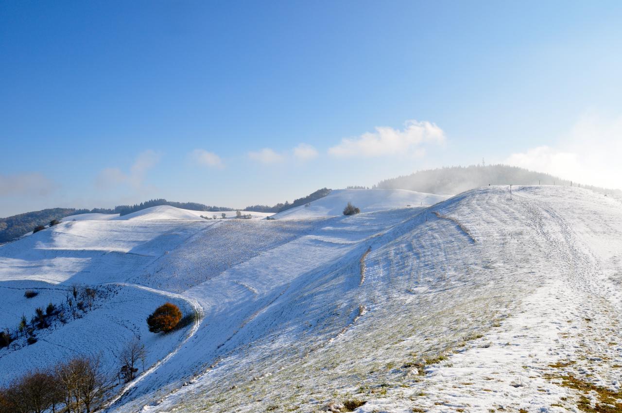 Les landes du Badberg, réserve naturelle, sont recouvertes de neige
