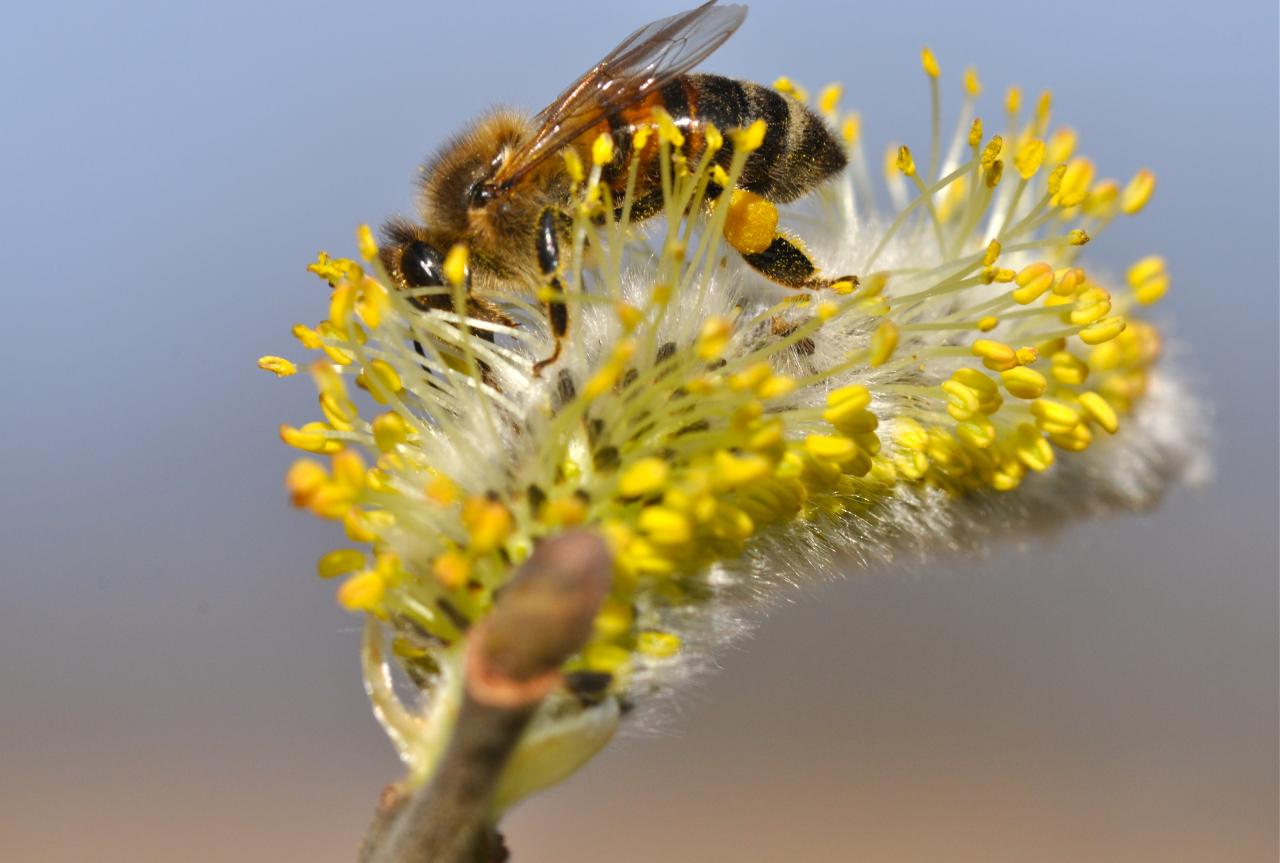DSC_0047