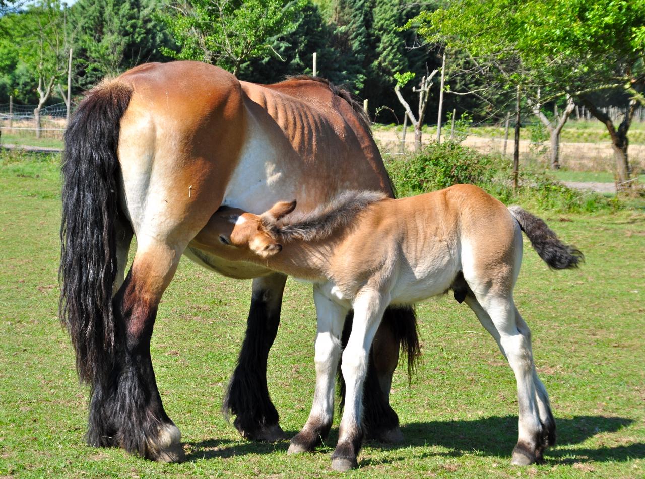 J'ai faim maman
