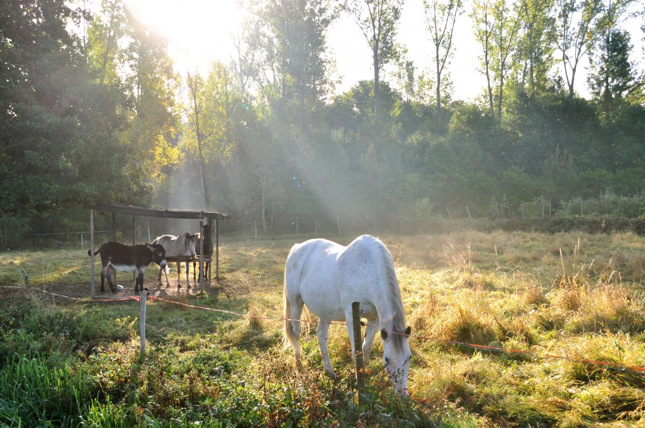 Belle lumière du matin