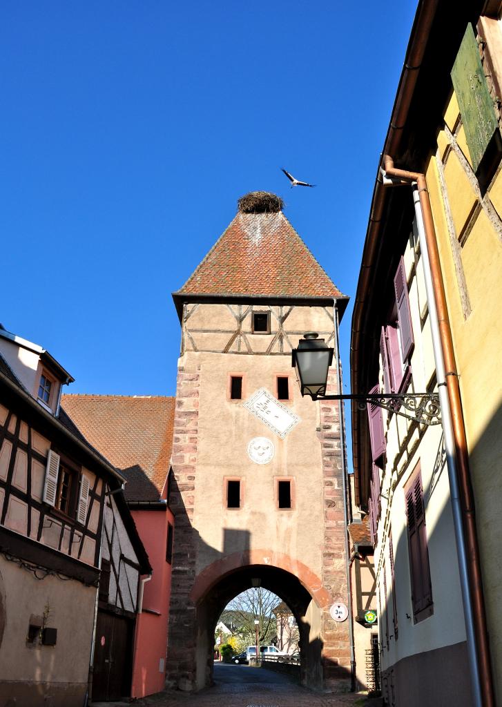 Une cigogne s'envole de l'Obertor d'Ammerschwihr