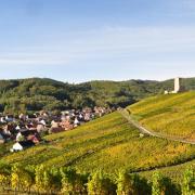 Le château du Wineck 