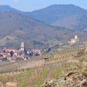 A droite le château domine Kaysersberg