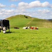 La tête de Fellering, au dessus de Bussang, culmine à 1200m