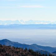 Depuis le Markstein, superbe vue sur les Alpes enneigées