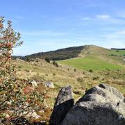 Le Petit Ballon culmine à 1272m et la ferme auberge Rothenbrunnen