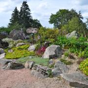 Variétés horticoles