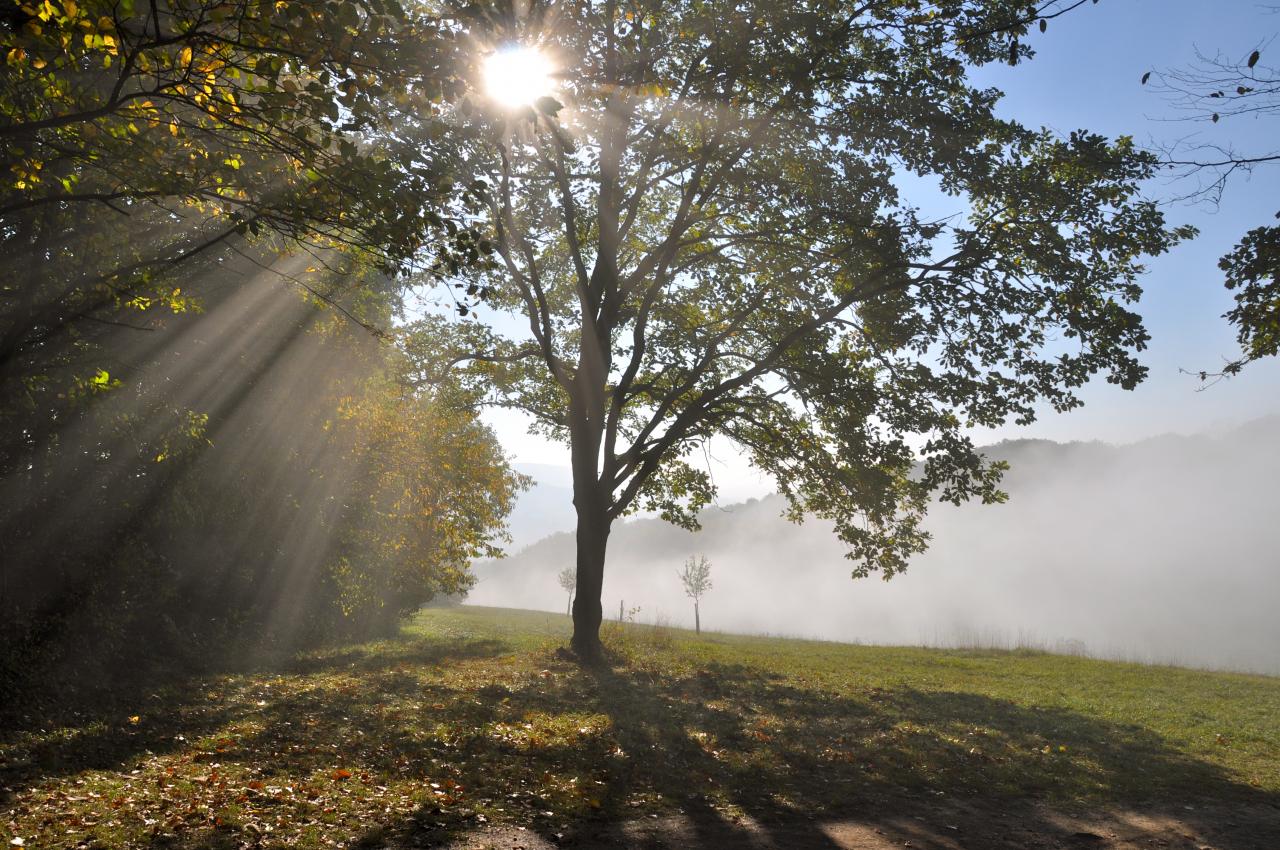 La brume et le soleil jouent à cache-cache