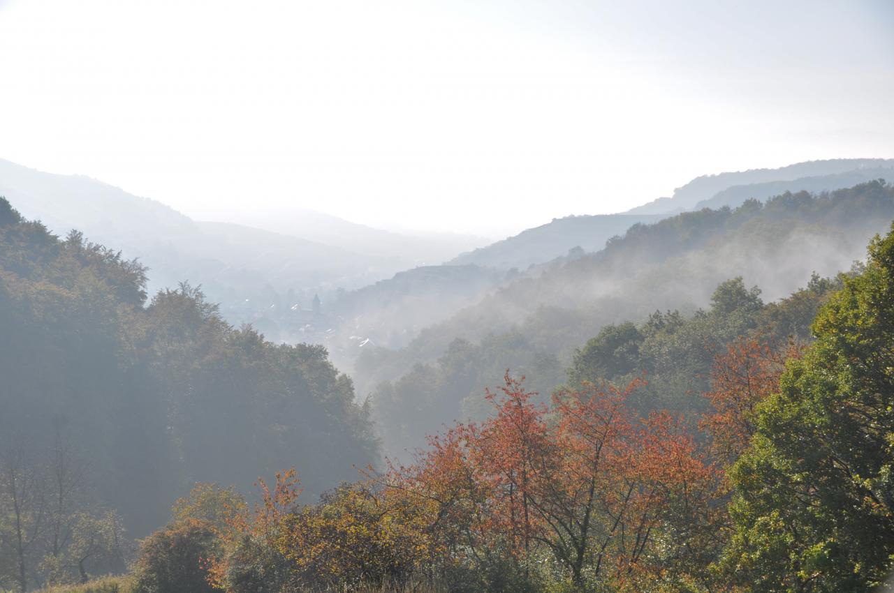 La brume sur Schelingen