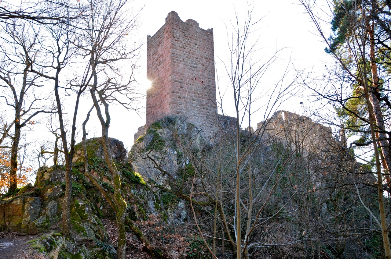 Ribeauvillé, château du Gisberg du XI° siècle
