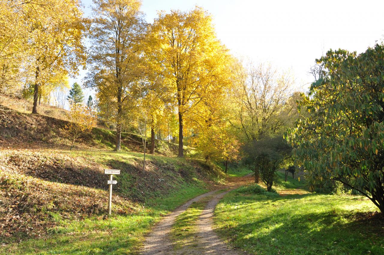 DSC_0405