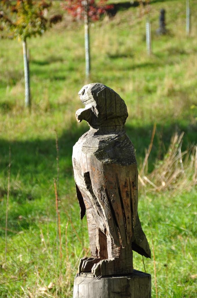 L'aigle veille sur l'arboretum