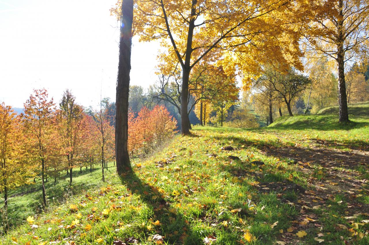 Le soleil joue avec les couleurs