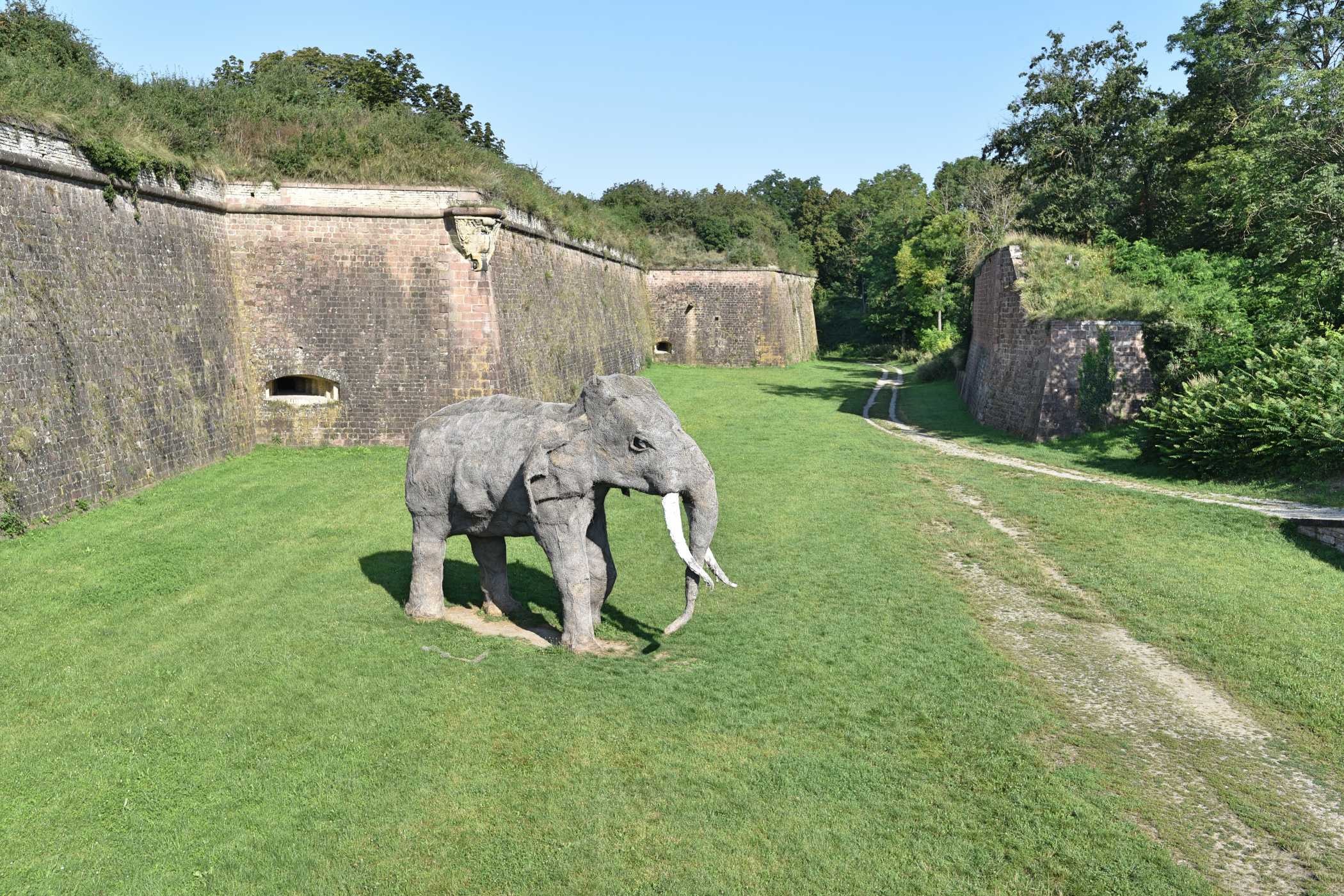 L'éléphant surveille les remparts