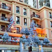 Les sapins embelissent la façade