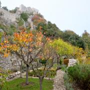 Jardin des vertus, du goût, des odeurs... blotti près des remparts