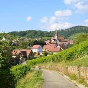 Niedermorschwihr vu depuis la montée vers les vignes du 