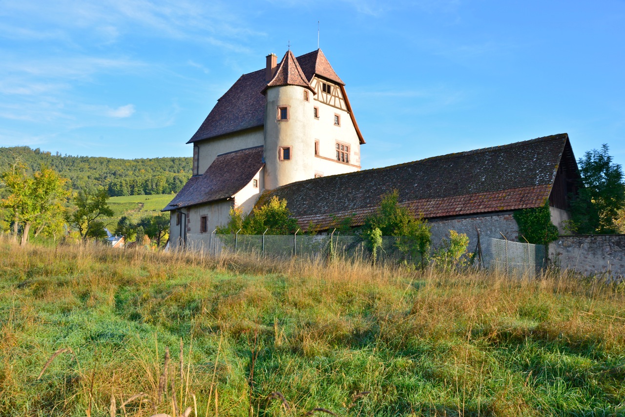 Walbach, château de plaine date du XII° s