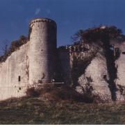 En 1994 le château de St Jean d'Angle est en très mauvais état...